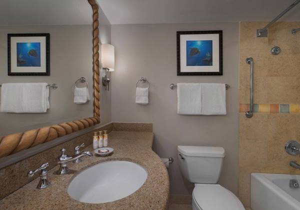 One- and Two-Bedroom Suite - Bathroom