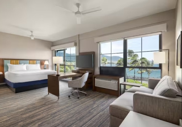 1King Ocnvw Suite Mic/Frg