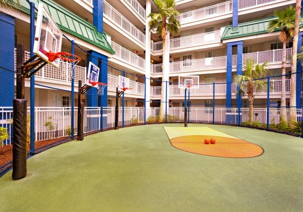 Basketball Court/バスケットボール場