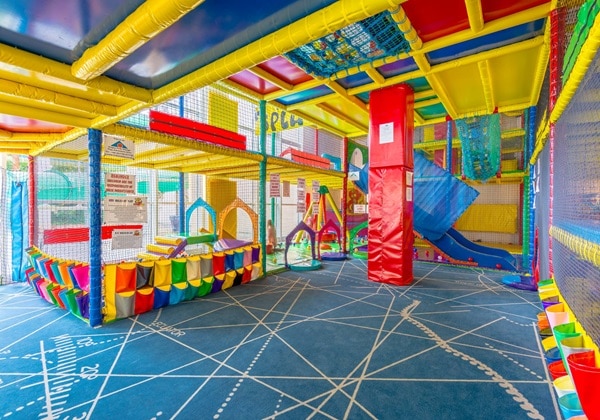 Scally Wagg's Jungle Adventure