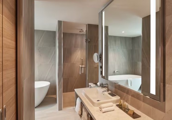 King Deluxe Bathroom