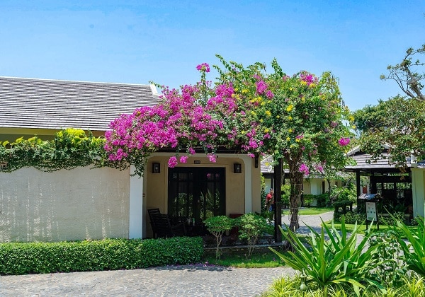 Executive Bungalow with Terrace
