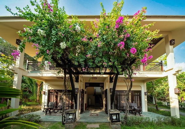 Premier Deluxe with Balcony or Terrace