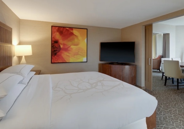 VISTA SUITE 1 KING BED 1