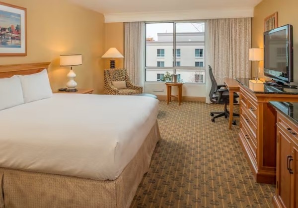 1King Courtyard View