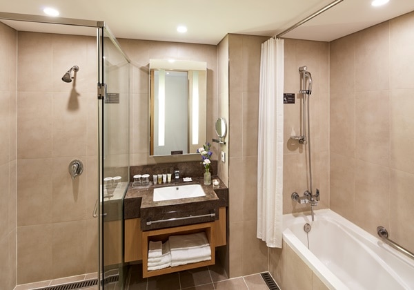 Premier Twin Bathroom