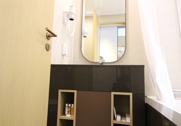 Business Twin Toilet 2