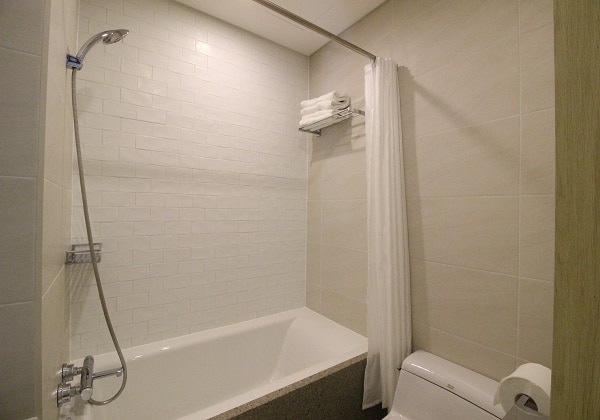 Economic Double Toilet 2