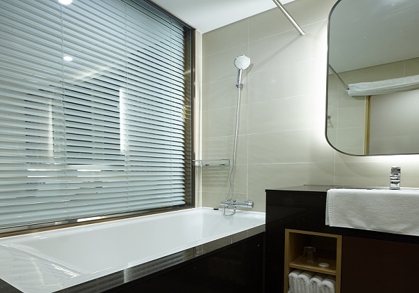 Panorama Twin Toilet 2