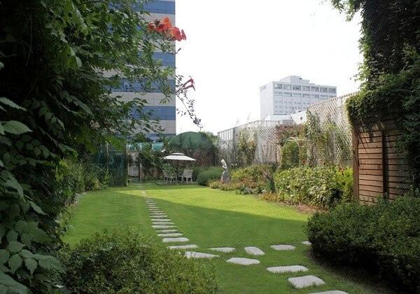 Rooftop Garden