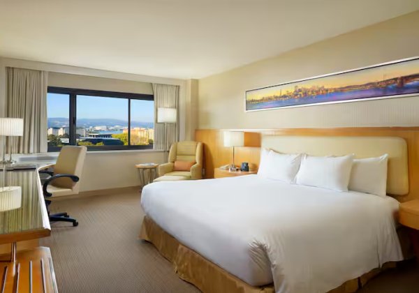 1 King Bed Deluxe Room