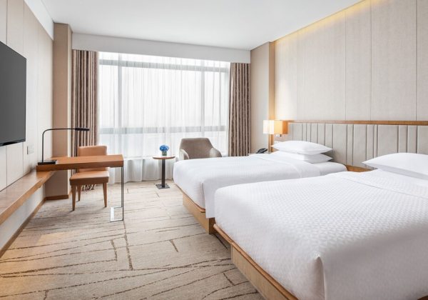 Deluxe Room 2 Twin City View