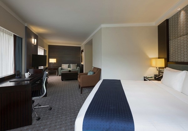 1 King Bed Suite Additional