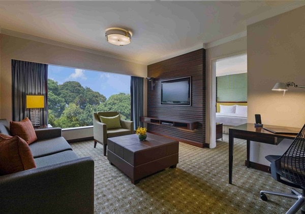 1 King 1 Bed Room Suite