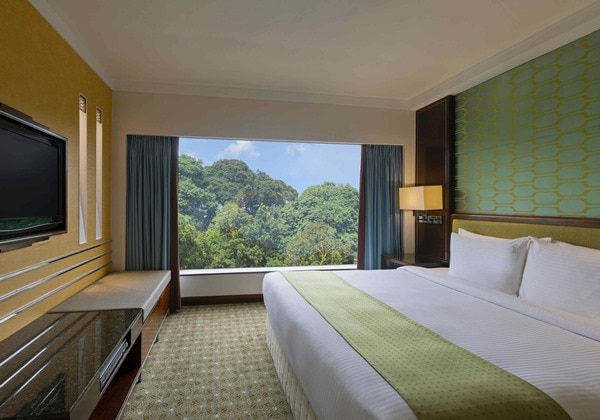 1 King 1 Bed Room Suite