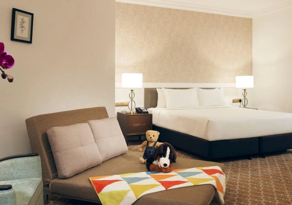 Family Room with Sofa Bed