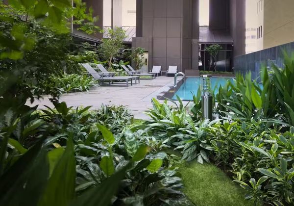 Poolside Garden