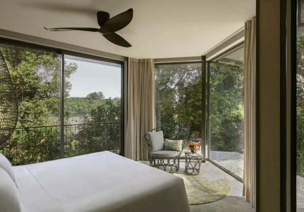 Rainforest Suite