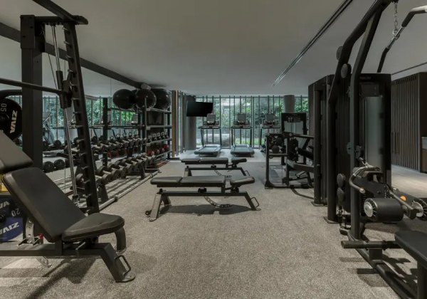 Finteness Center