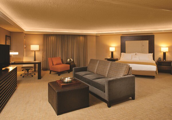 1KING STUDIO STYLE SUITE WITH SOFABED