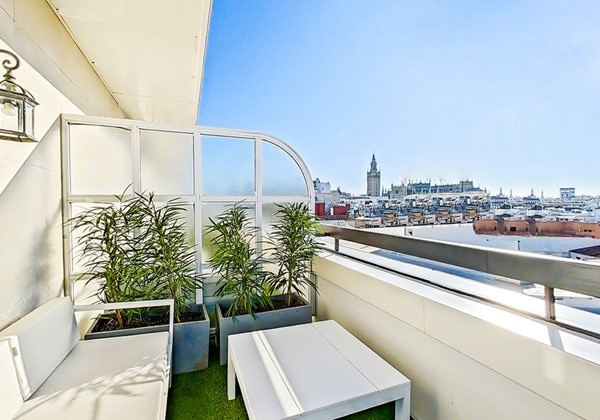 Premium Terrace