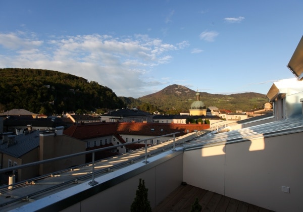 Suite with Forest View