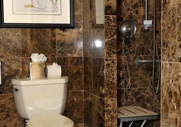 2DBL MOBILITY ACCESS W/RI SHWR NOSMOKING