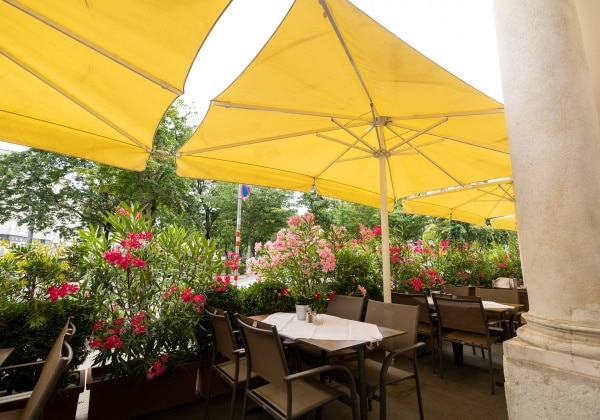 Dining Terrace