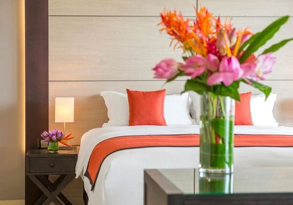 ジュニアスイート