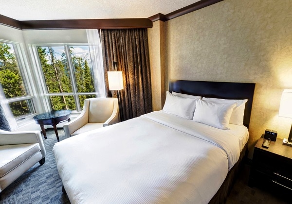 Standard - Bed - View