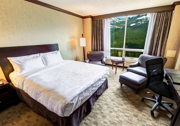 Premium -  Bed - View