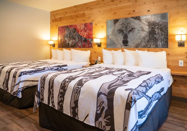 Junuir suites with 2 Beds