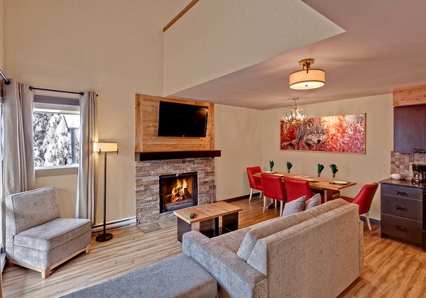 Wolf loft condo living area