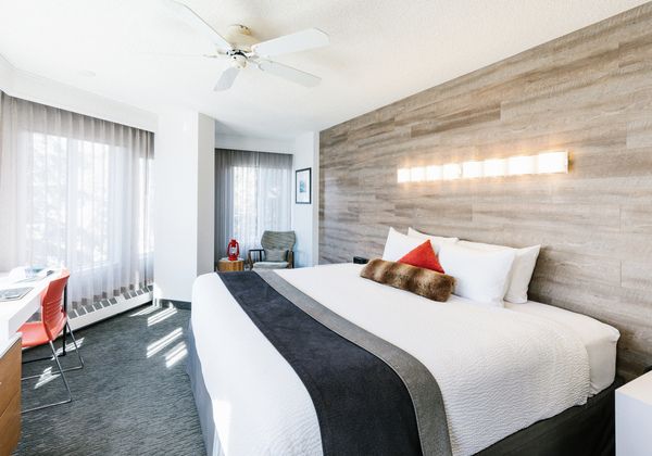 Deluxe King Room