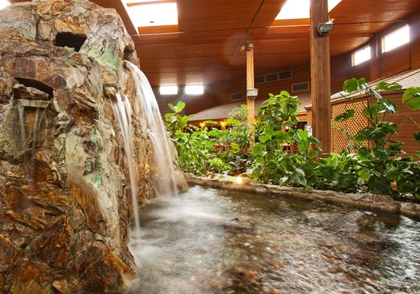 Tropical Atrium Fountain