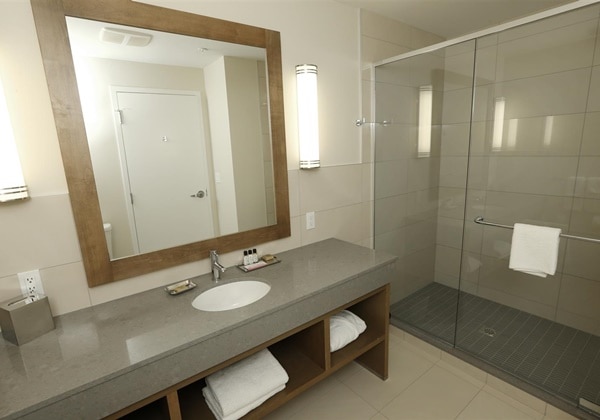 Suite Guest Bathroom