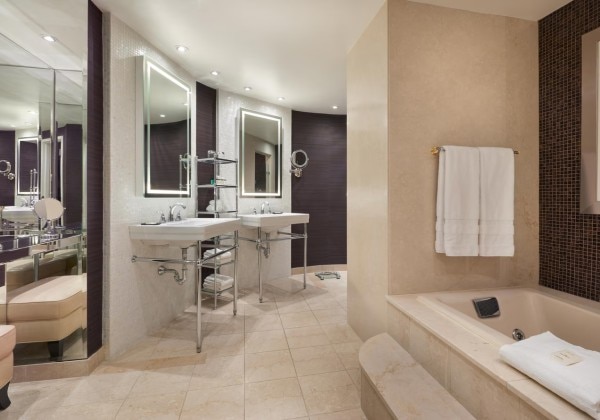 Suite Bathroom