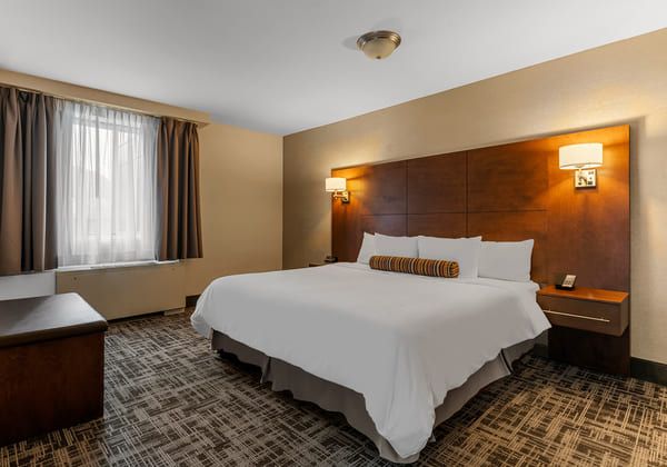 Suite King Bed